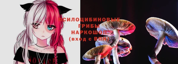 дурь Козловка