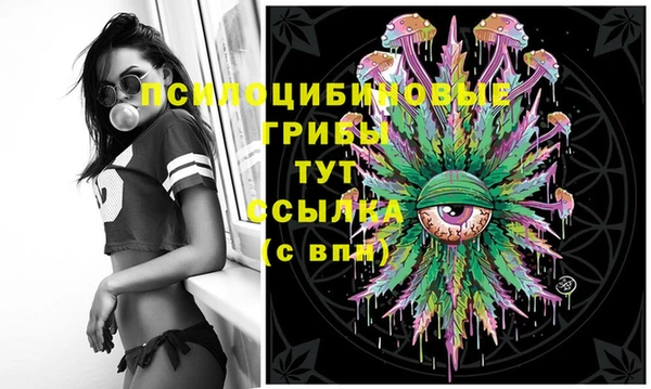 дурь Козловка