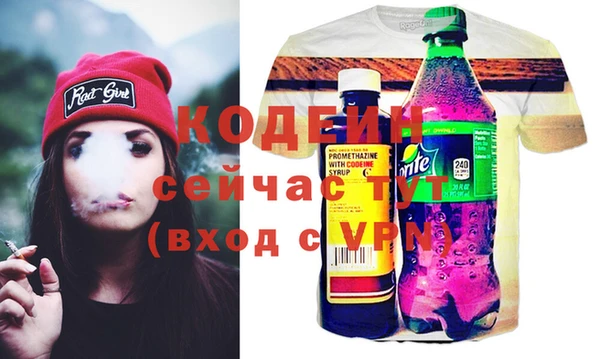 молекула духа Пестово