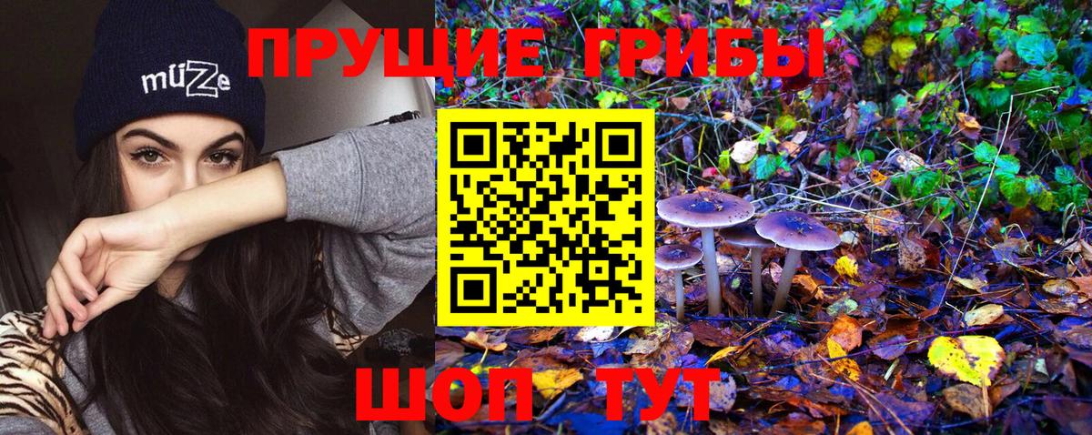 Псилоцибиновые грибы мухоморы  Галлюциногенные грибы мицелий  цена наркотик  Маркс 
