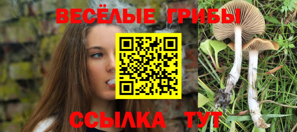 Маркс  Псилоцибиновые грибы Psilocybe  наркота  Вход с VPN 