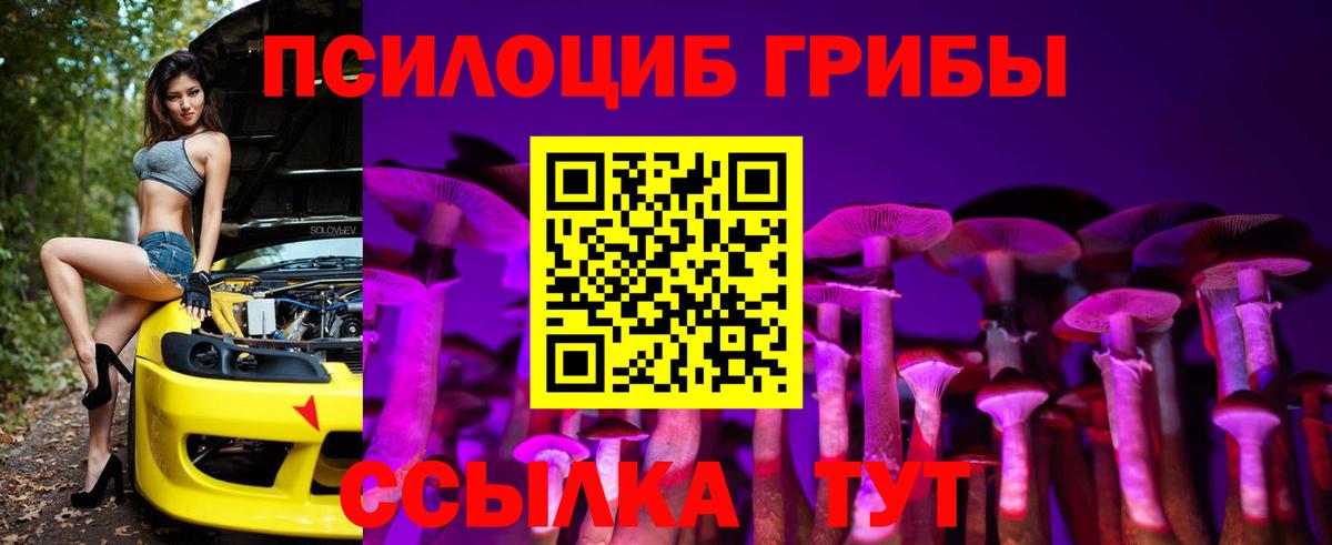 Галлюциногенные грибы GOLDEN TEACHER Маркс